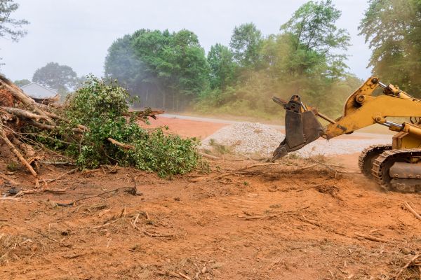 Ground Clearing in Parker