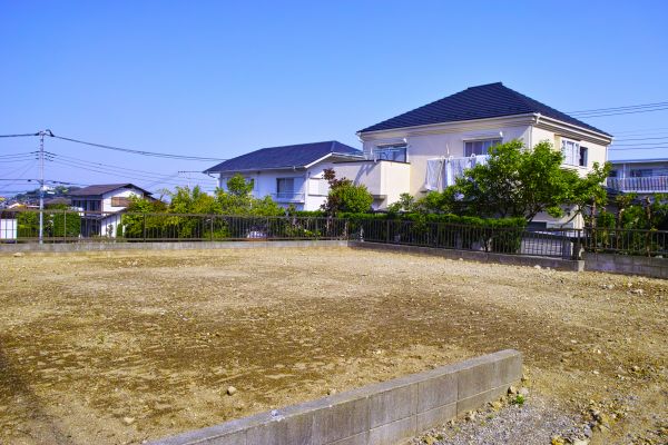 Cost of Lot Clearing Service in Parker