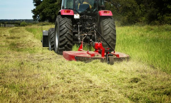 Brush Clearing Service in Parker