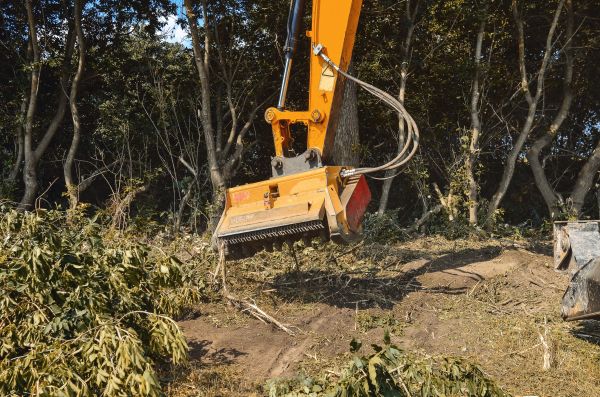 Brush Removal Service in Parker