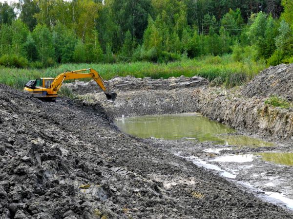 Cost of Lake Lot Clearing in Parker