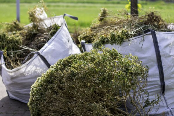 Cost of Bushes Clearing in Parker
