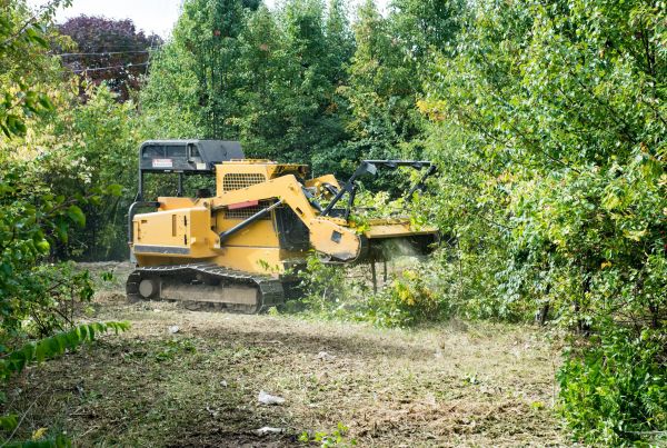 Cost of Pathway Clearing in Parker