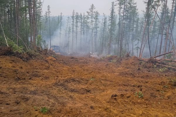 Cost of Hill Clearing in Parker
