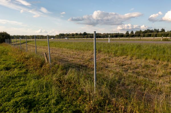 Cost of Property Line Clearing in Parker