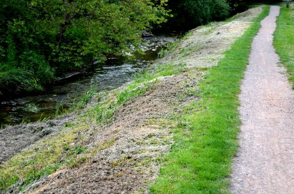 Cost of Trail Cutting in Parker