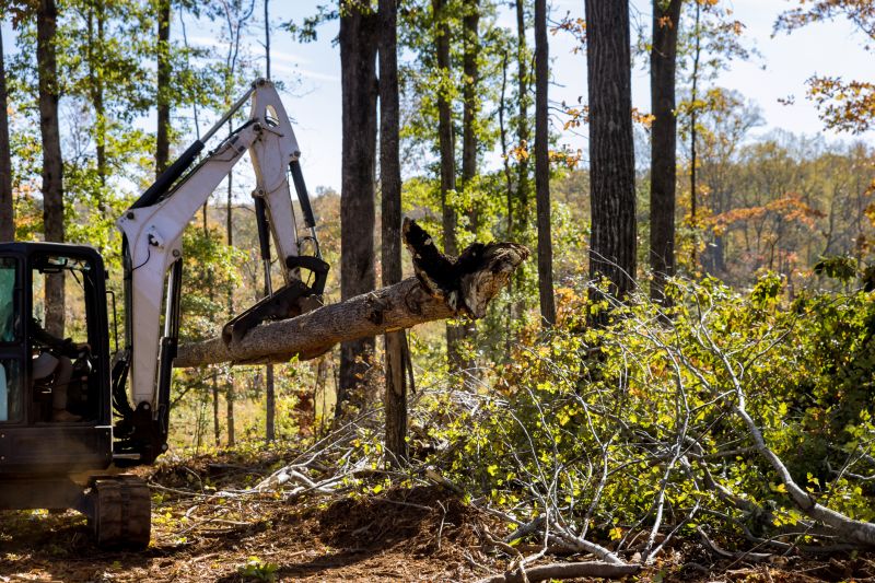 What’s Involved In Professional Land Clearing?